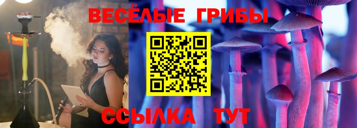 Псилоцибиновые грибы Psilocybe  наркошоп  Пермь  Вход с VPN 